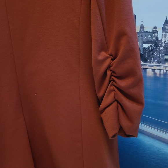 Maxim Studio - Picture 8 of 14